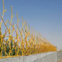 حفاظ روی دیوار شاخگوزنی.بوته خاری نرده پنجره در