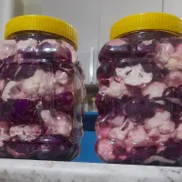 ترشیجات خانگی مهرگان  با کیفیت بالا|خوردنی و آشامیدنی|محمدشهر, شهرک نگین|دیوار