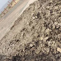 کودمرغ گوشتی