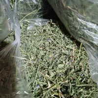 یونجه برای خرگوش پر برگ چوب نازک