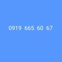 سیم کارت  919|سیم‌کارت|تهران, هفت حوض|دیوار