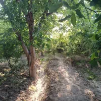 850متر-کاربری-باغ-ویلا-آماده-ساخت
