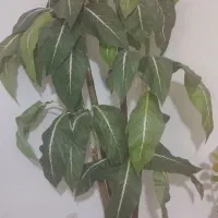 درختچه مصنوعی زیبا