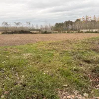 3000-متر-زمین-باغات-داخل-طرح