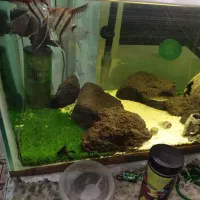 شیشه ی آکواریوم