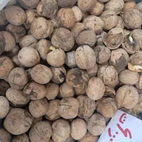 کلوچه و کشمش|خوردنی و آشامیدنی|ملایر, |دیوار