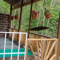 اجاره ویلا باغ جنگلی در بلوردکان