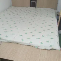 تخت خواب وتشک