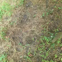 زمین کشاورزی