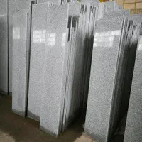 تولید سنگ پله نما فرشی گرانیت گلبو کلاته|عمدهفروشی|مشهد, طرق|دیوار