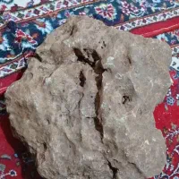 شهاب سنگ|کلکسیون اشیاء عتیقه|تهران, میرداماد|دیوار