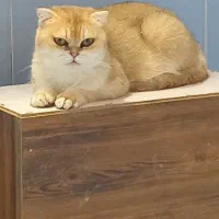 ماده مولد باردار