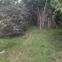 هیزم سر شاخه خشک  به اندازه  بار ۲ نیسان