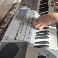 در حد|پیانو، کیبورد، آکاردئون|خرم بید, |دیوار