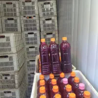 پخش اب انار صد در صد خالص قلعه چم به ضمانت