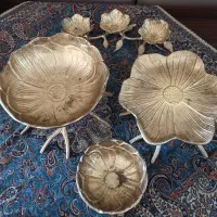 سرویس پذیرایی و پاسماوری