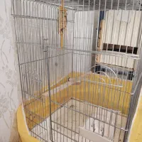 قفس پرنده