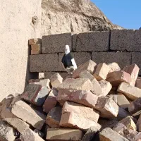 مجسمه طوقی|مجسمه، تندیس، ماکت|زابل, |دیوار