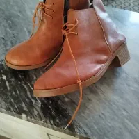 پالتو خوشرنگ زیبا هردوجنس سوییت|لباس|لردگان, |دیوار