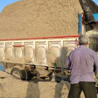 کاه نیشکر برداشت جدید نرم نرم|لوازم جانبی حیوانات|سمنان, |دیوار