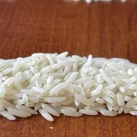 انواع برنج ممتاز و درجه ۱ شمال زیبا|خوردنی و آشامیدنی|هشتگرد, شهرک بعثت|دیوار
