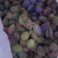 کشمش و بادوم درجه یک|خوردنی و آشامیدنی|قزوین, |دیوار