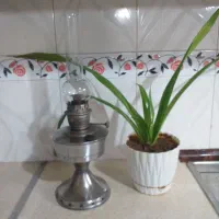 چراغ گردسوز|کلکسیون اشیاء عتیقه|بروجرد, |دیوار