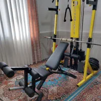 دستگاه بدن سازی