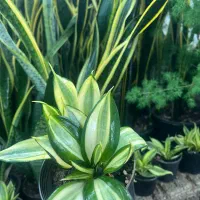 حراج به علت تغییر شغل