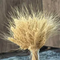 نظافت و تمیز کاری فوری