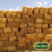 یونجه و سرکلش گندم|عمدهفروشی|دشتابی, |دیوار