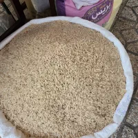 برنج هاشمی پارس آباد رسید