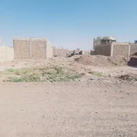 فروش زمین (۷قصب با پروانه ساخت) بلوار خلیج فارس|فروش زمین و ملک کلنگی|رفسنجان, |دیوار