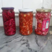 ترشی سالاد فصل