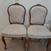 دو عدد میزبان
