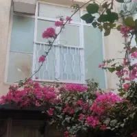 خانه دو طبقه نقلی پشت قواره