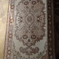 دو عدد پشتی