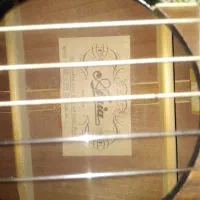 گیتار آریا AK30BK|گیتار، بیس، امپلیفایر|کرمانشاه, |دیوار