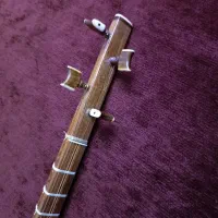 سه تار کلکسیونی استاد رضا دستجردی