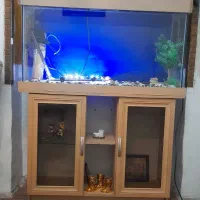 آکواریوم با همه لوازم
