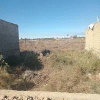 زمین|فروش زمین و ملک کلنگی|خرمشهر, |دیوار