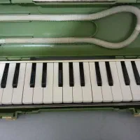 ساز قدیمی|سازهای بادی|قم, صفائیه|دیوار