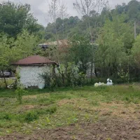 زمین ماده 4 250 متر فروش فوری|فروش زمین و ملک کلنگی|ماکلوان, |دیوار