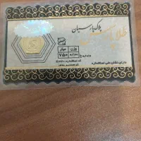 سکه پارسیان ۲عدد