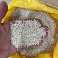 برنج طارم محلی و فجرسوزنی گرگان|خوردنی و آشامیدنی|کرمان, |دیوار