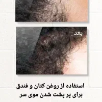 روغن اصل کاژان رومستقیم از شرکت بخر