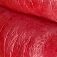 تخفیف در تتوی لب