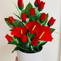 باکس گل|گل مصنوعی|رشت, کوی مهر|دیوار