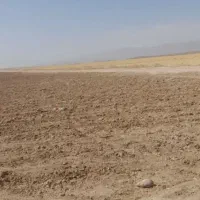 زمین کشاورزی با چاه آب|اجارهٔ دفتر صنعتی، کشاورزی، تجاری|گلبهار, بیزکی|دیوار