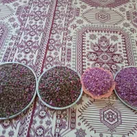 ...|حیوانات مزرعه|خانمیرزا, |دیوار